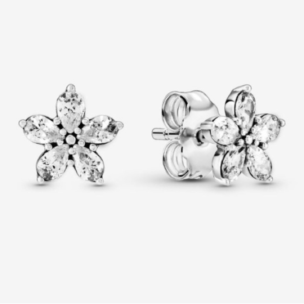 Pandora Earings